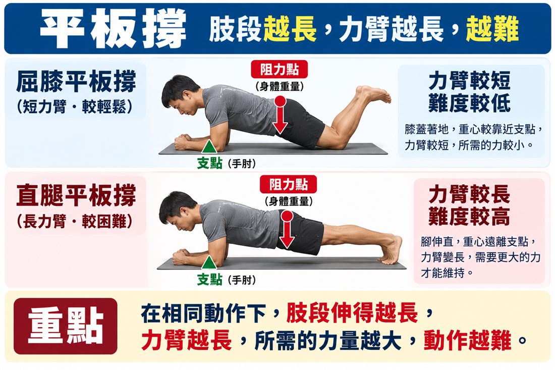 平板撐：屈膝 vs 直腿